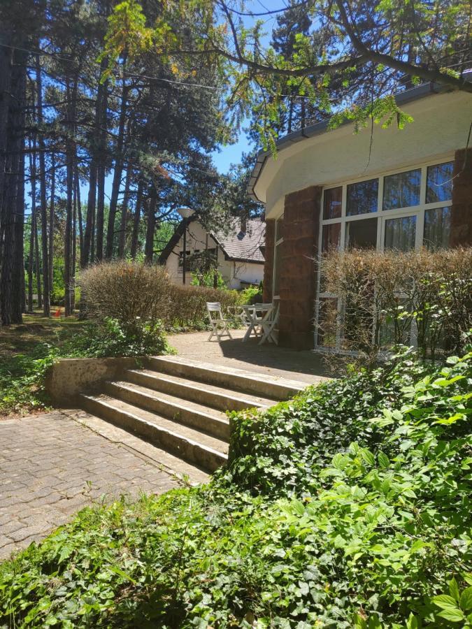 Liget Ueduelo Siofok B&B 외부 사진