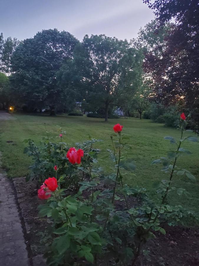 Liget Ueduelo Siofok B&B 외부 사진